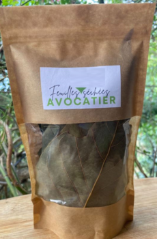 Feuille Avocatier