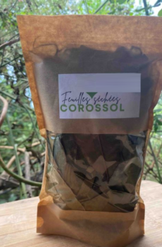 FEUILLES COROSSOL