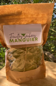 Feuille Manguier